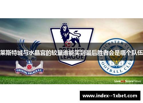 莱斯特城与水晶宫的较量谁能笑到最后胜者会是哪个队伍