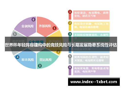 世界杯年轻阵容建构中的竞技风险与长期发展隐患系统性评估 世界杯年轻阵容建构中的竞技风险与长期发展隐患系统性评估