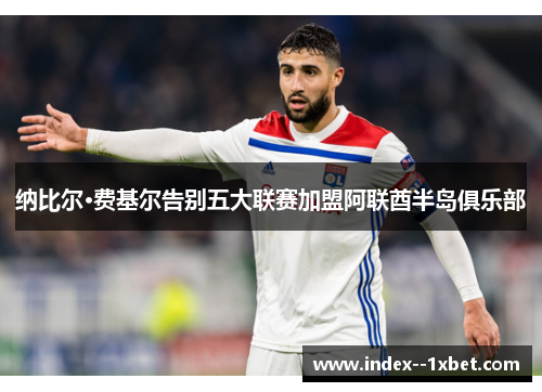 纳比尔·费基尔告别五大联赛加盟阿联酋半岛俱乐部 纳比尔·费基尔告别五大联赛加盟阿联酋半岛俱乐部